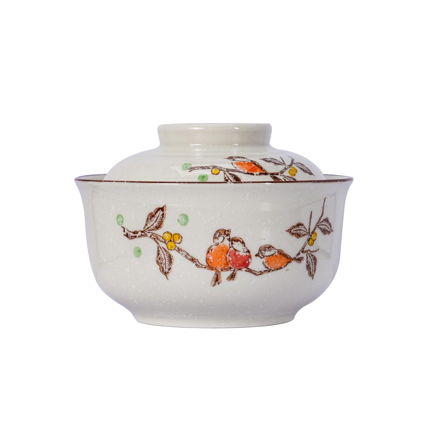 LLPUSLUO 6.5 inch Retro Ceramic Ramen Bowl with Lid,Japanese Style Personalized Dinnerware For Noodle Rice Porridge Soup Fruit Sala (6.5inch, C)