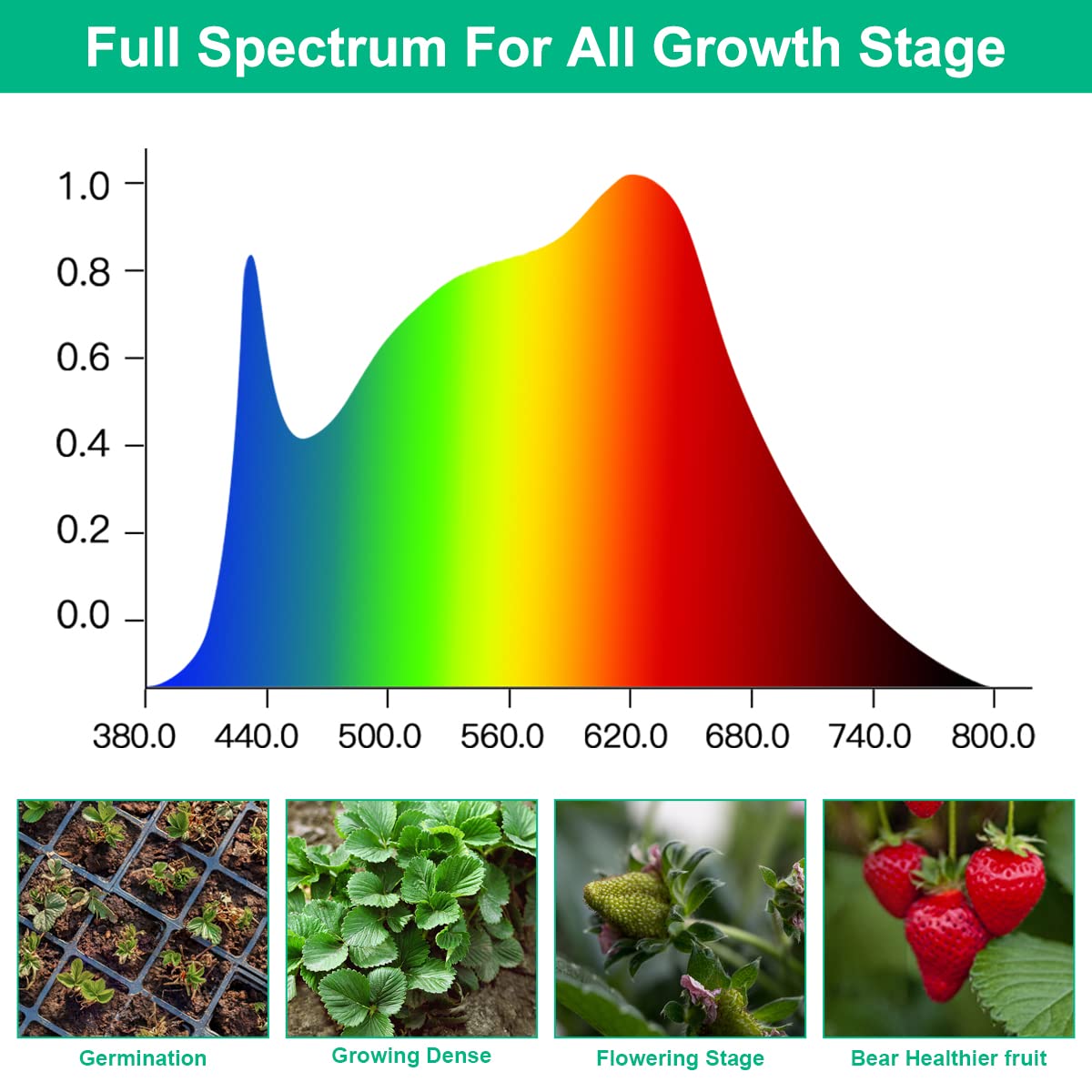 T5 Grow Lights 5000K Full Spectrum,1.4FT (2pcs x 10 Watts) Plant Growing Lamp,End-to-End Connectable Led Light Strips for Indoor Plants Succulents Flowers Growing