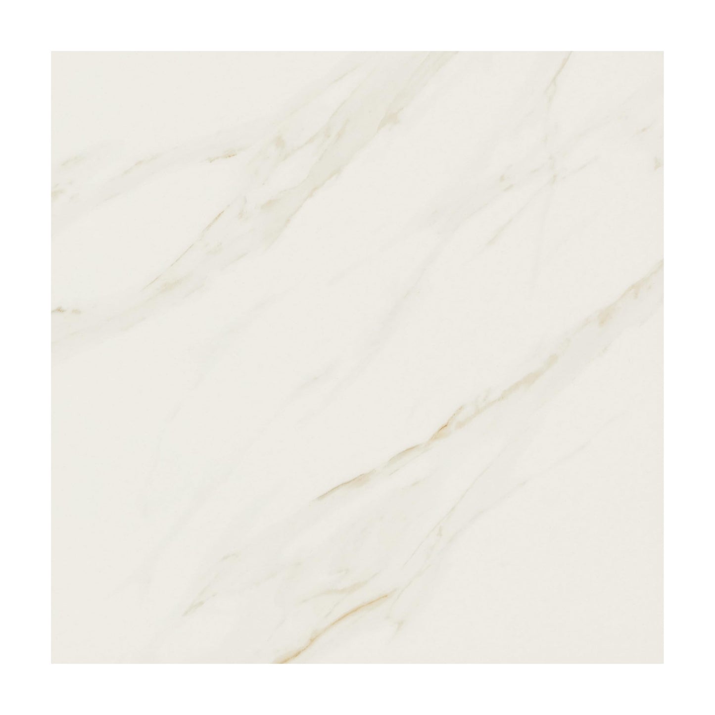Daltile Florentine 12" X 12" Glazed Porcelain Floor Tile in Carrara (13 PC Per Carton) (12.22 SQFT Per Carton)