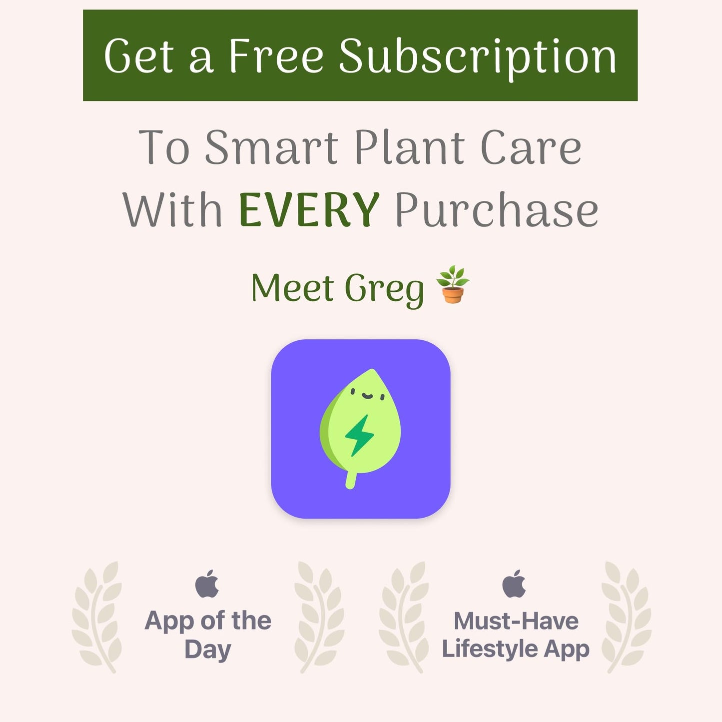 American Plant Exchange Holly Fern – 6-Inch Pot – Live Easy Care Shade-Loving Plant, Versatile Green Foliage for Home, Garden, Landscape, or Patio Decor