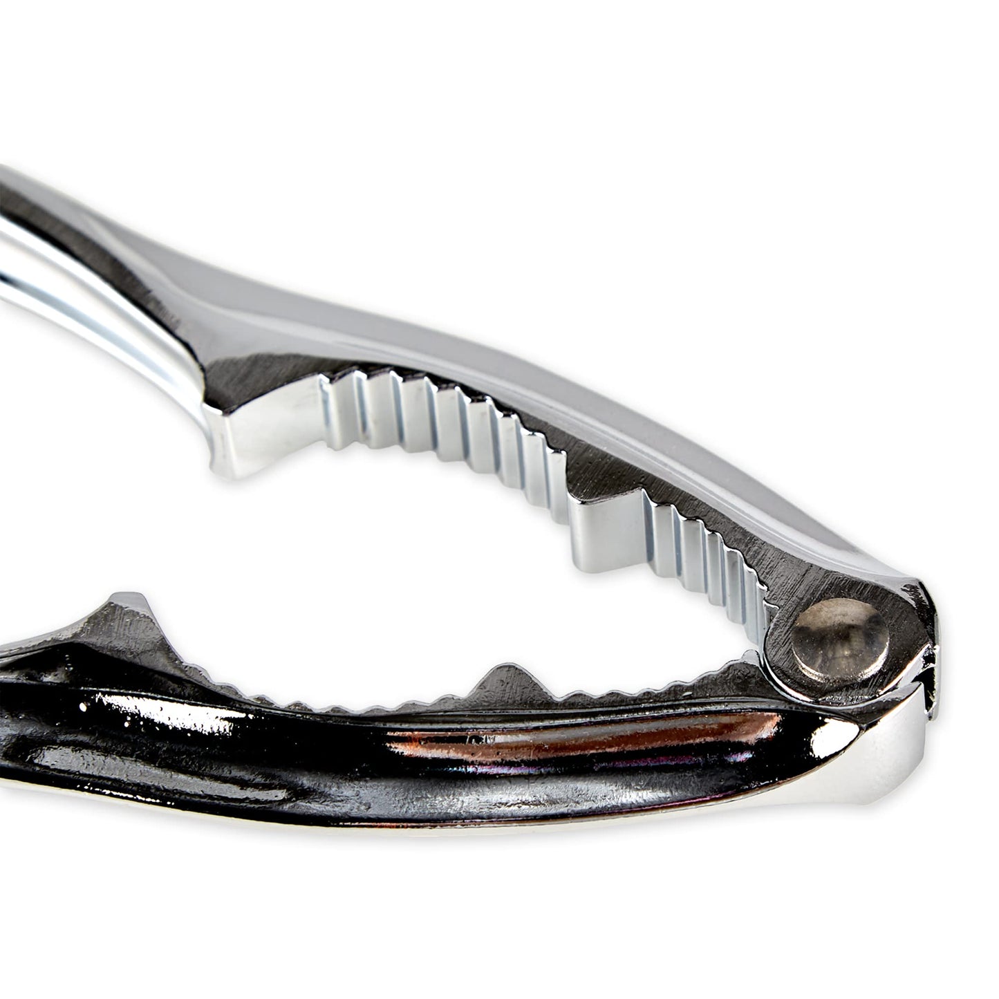 RSVP International Endurance Collection Seafood Tool, Cracking Tools, 8 Piece, Stainless Steel