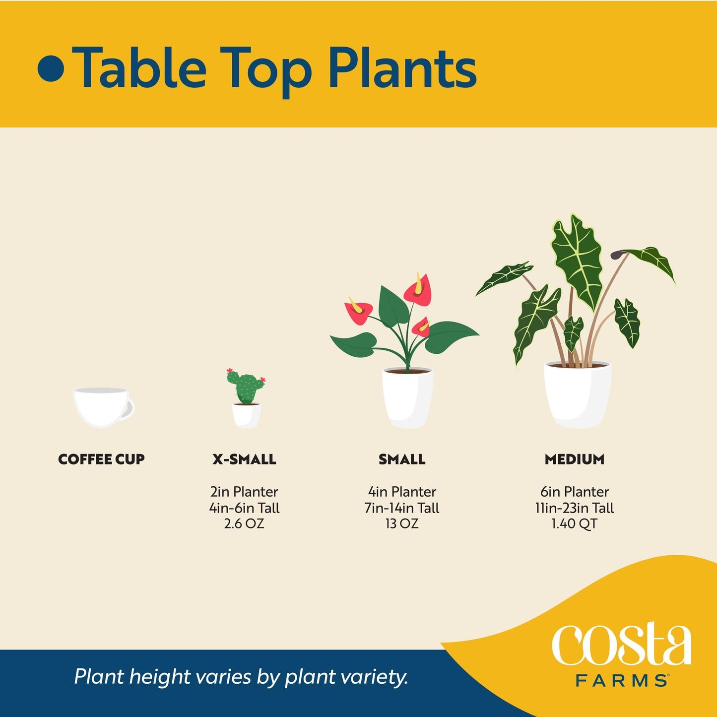 Costa Farms Philodendron Florida Ghost Live Plant in Self Watering Pot, Air Purifying Indoor Houseplant, Home, Room, or Office Decor, House Warming or Birthday Gift, 12-18 Inches Tall