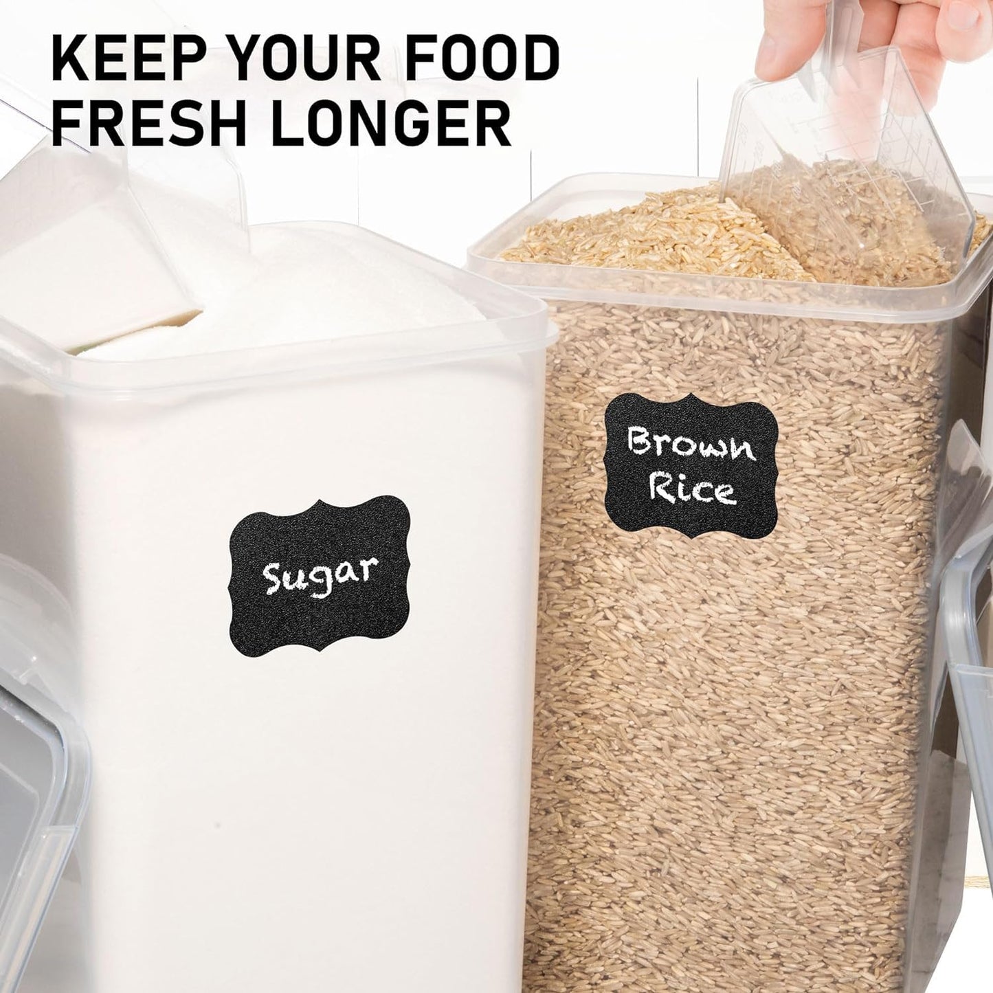 WHITE FEATHER SUPPLIES 8.5L/287Oz Extra Large Airtight Food Storage Containers (2 PC) with Lids, Kitchen and Pantry Organization Containers for Baking Supplies, Cereal, Flour, Sugar, Rice (BPA Free)
