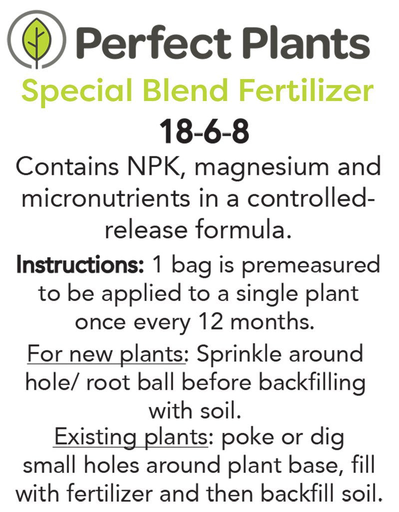 Soft Touch Holly - Size: 1 Gallon, Live Plant, Includes Special Blend Fertilizer & Planting Guide