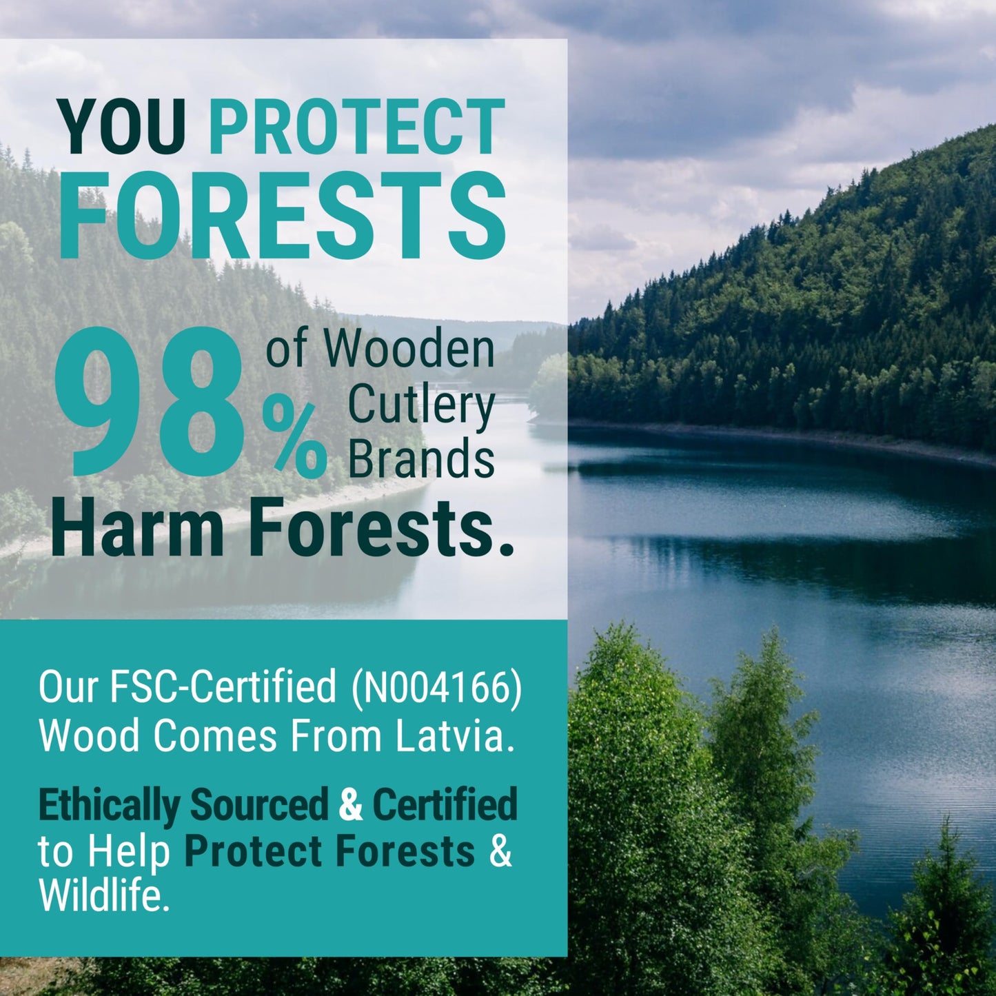 EarthClusive Disposable Wooden Spoons For Eating - 300pcs - Heavy Duty & Plastic Free - Our Guilt-Free FSC Certified Wood Protects Forests - A Great Alternative to Bamboo Spoons Disposable.