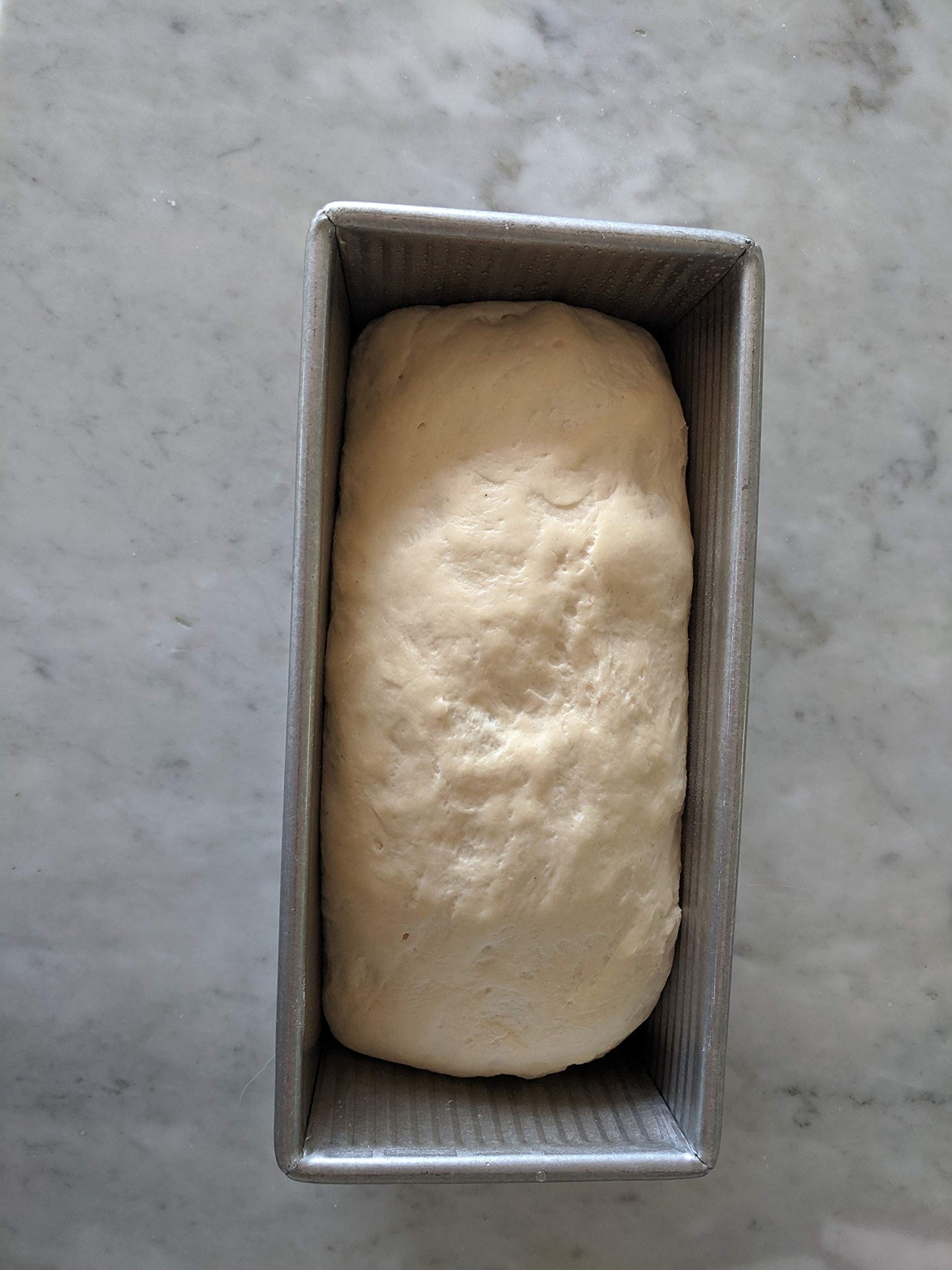 USA Pan Bakeware Pullman Loaf Pan, Large, Silver